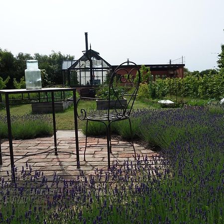 Villa Gina Oesterlen Sankt Olof المظهر الخارجي الصورة