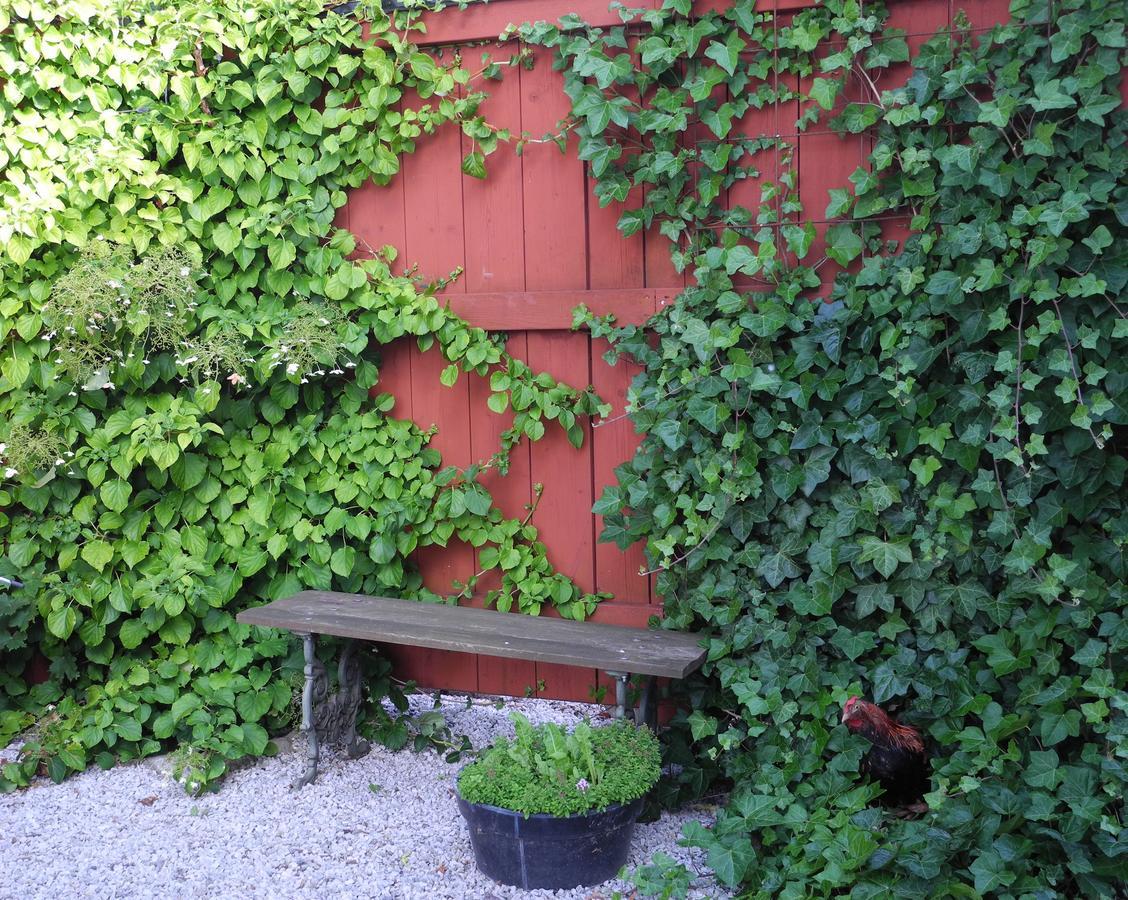 Villa Gina Oesterlen Sankt Olof المظهر الخارجي الصورة