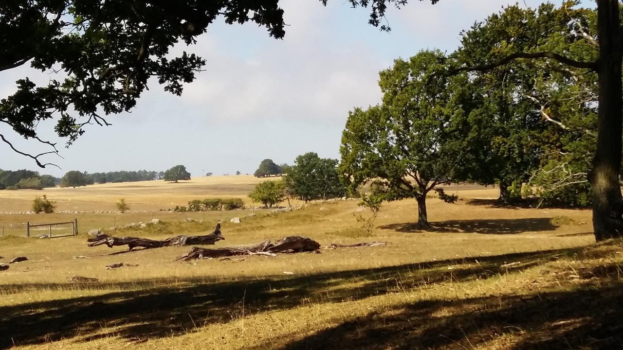Villa Gina Oesterlen Sankt Olof المظهر الخارجي الصورة